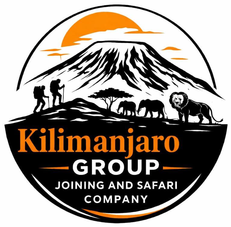 Kilimanjaro Group Joining and Safari Company logo