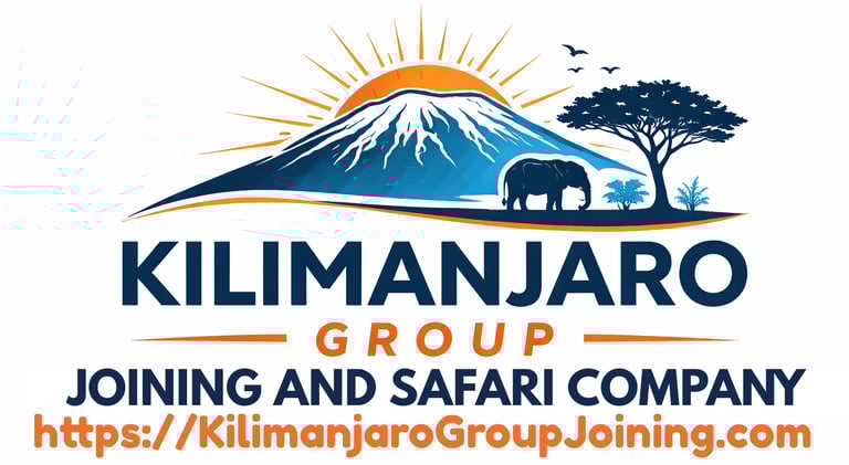 Kilimanjaro Group Joining and Safari Company logo