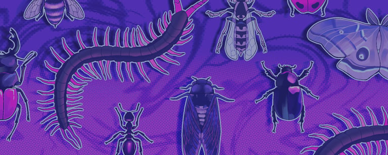Purple bug illustrations on a dark purple background