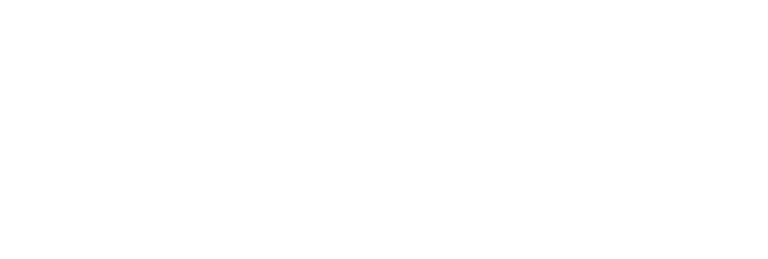 FuYin Express Inc. logo