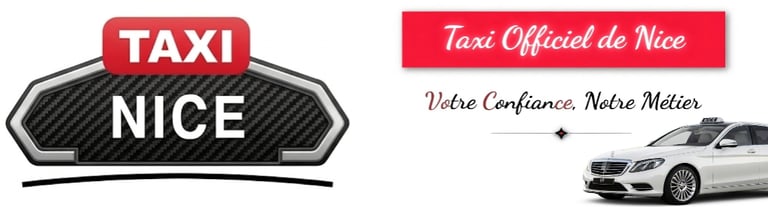 TAXI NICE logo
