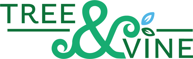 Yoga Studio for classes and private lessons logo