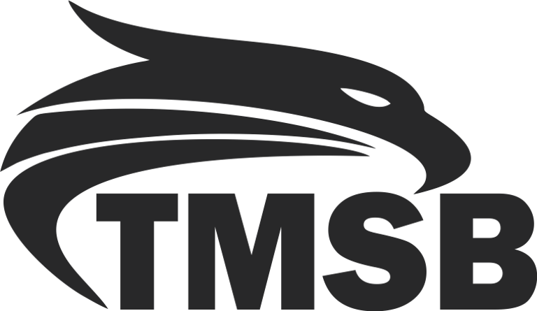 TMSB Services, LLC logo