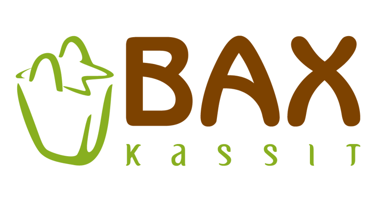 Blue Orange Oy - Bax kassit logo