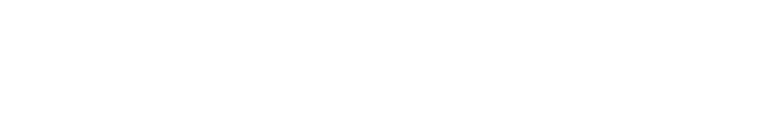 NSMnet LTD logo