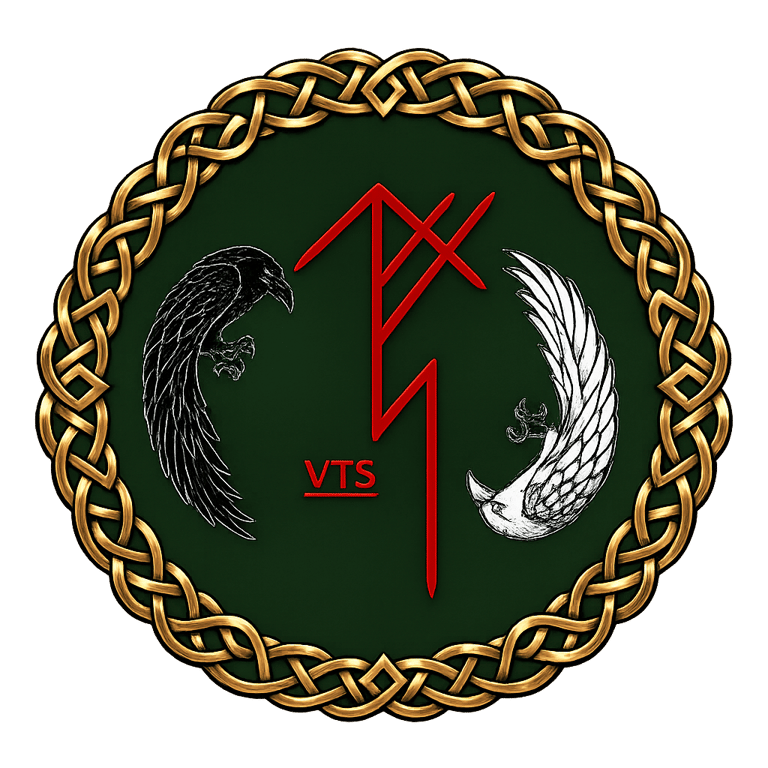 Vikingar Training Solutions logo