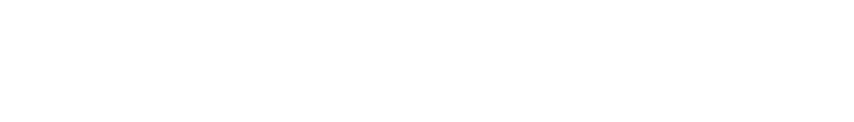SavageTech logo
