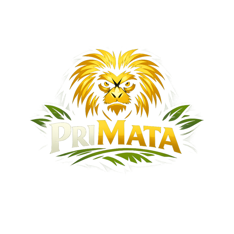 PriMata logo