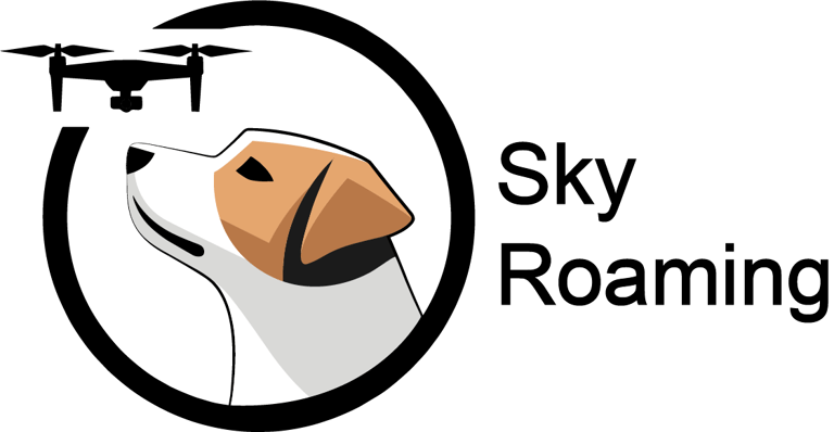 Sky Roaming logo