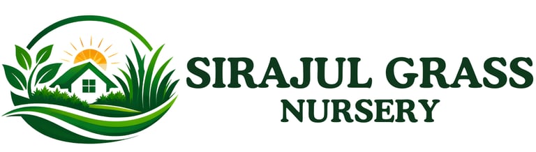 Žalioji Vizija logo