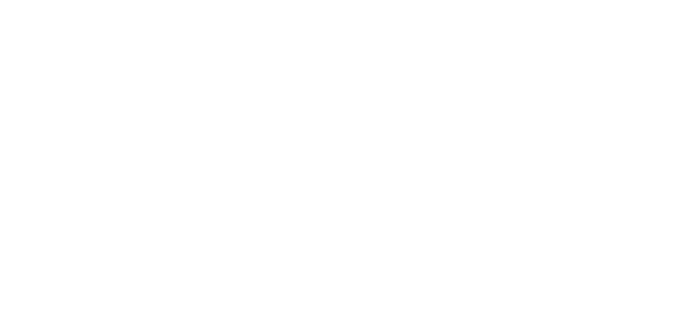 Nolaid Slieksni logo