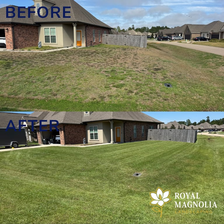 Before and after professional lawn care services showing a patchy yard transformed into lush green grass.