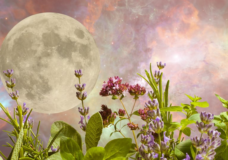 Fresh herbs and lunar imagery introducing the Bo-tanics Biodynamic Moon Garden Calendar