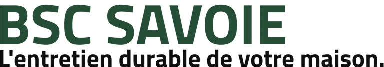 BSC SAVOIE logo
