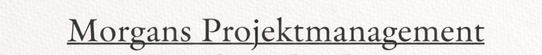 Morgans Projektmanagement logo