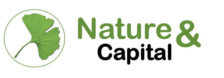 Nature & Capital logo