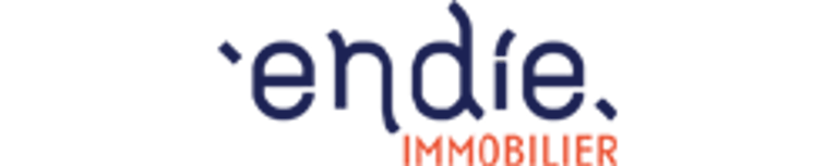 Patrice Vaissière, mandataire immobilier, réseau Endie Immobilier, Toulouse, Blagnac, Cornebarrieu, Colomiers, Aussonne, Aucamville, Launaguet, L'union,  estimation, vendre sa maison  logo