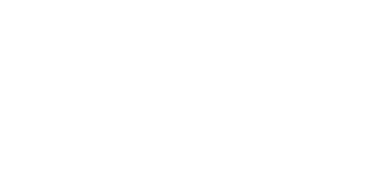 PeiliStudio logo