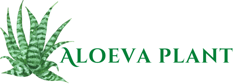 Aloeva logo