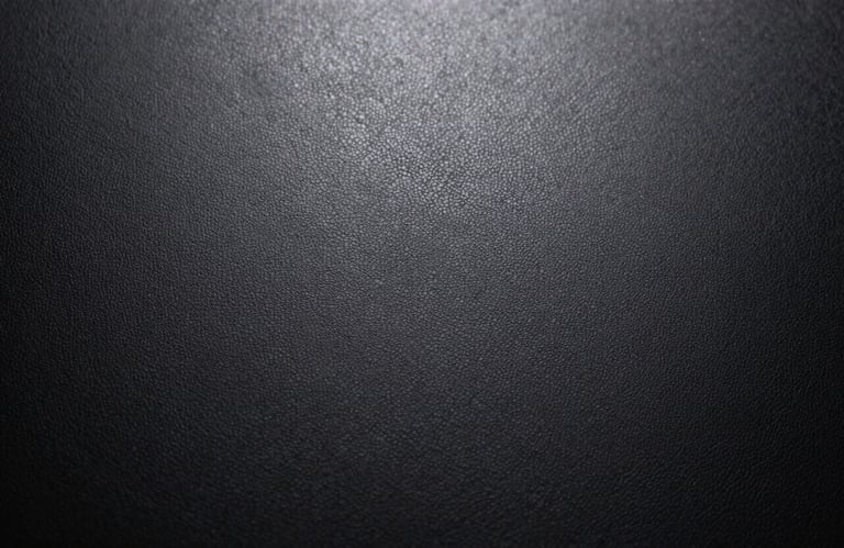 A close-up, high-fashion style photograph of a luxurious textured black leather surface with a single, sharp light highlight.