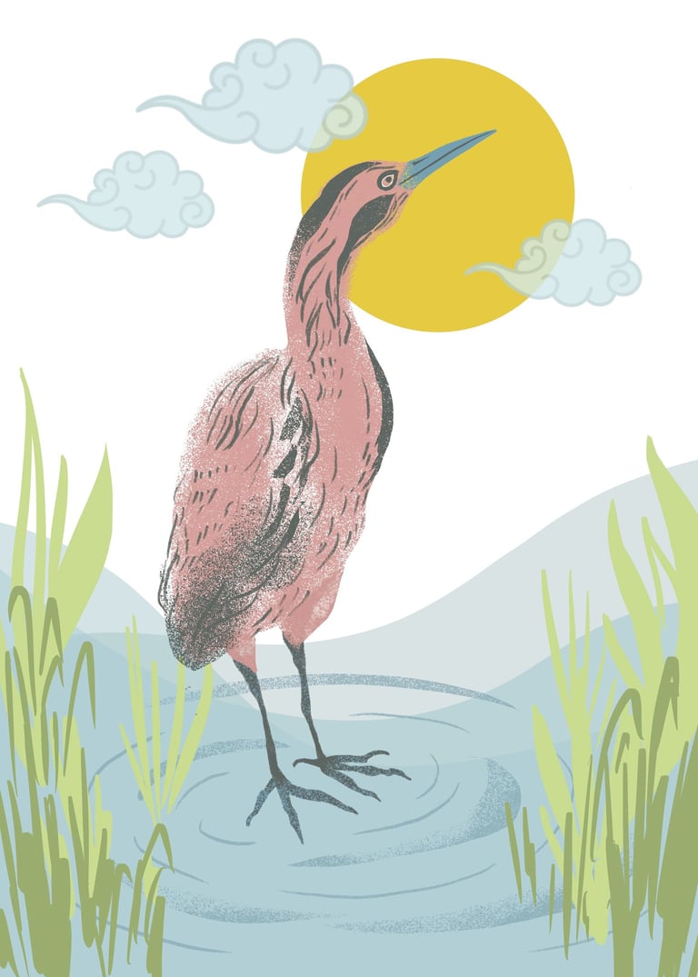 Buryat nature endangered bird