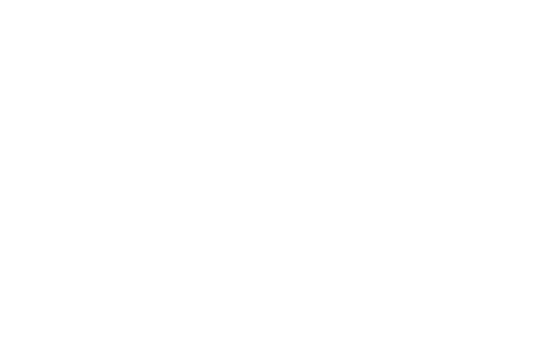 PROmeistari logo