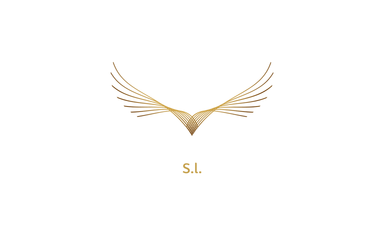 transvelozdeliveri logo