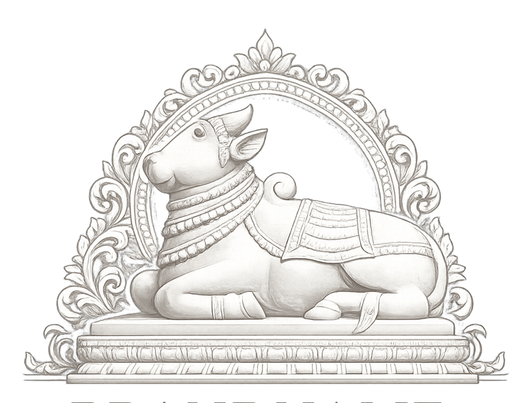 Nile Turtle Lending Team logo