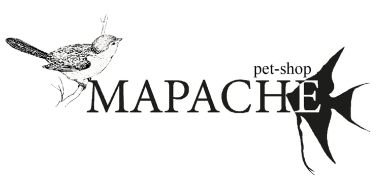 Mapache Pajarería y Acuario logo