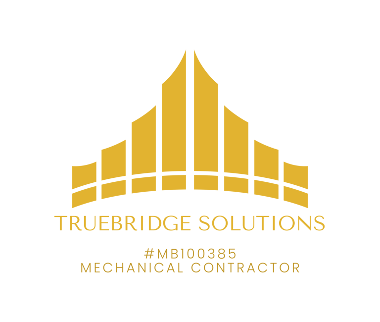 True bridge Solutions logo
