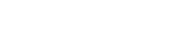 SkyBelOne logo