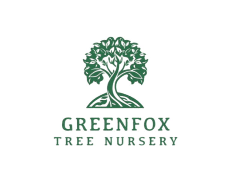 Greenfox Tree Nursery logo