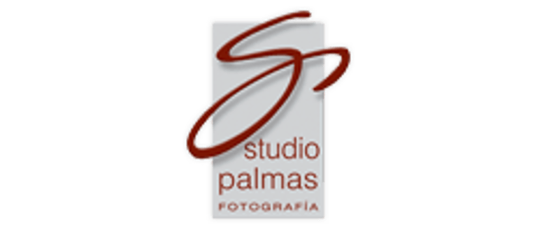 Studio Palmas logo