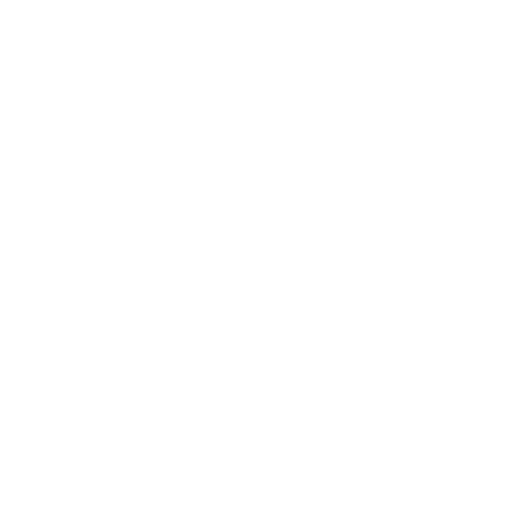 The Limited logo