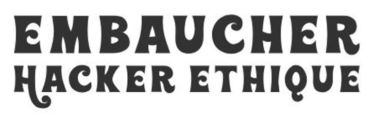 hacker professionnel logo