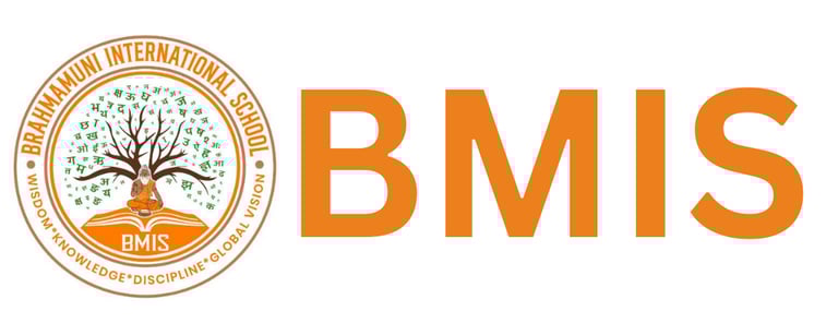 BMIS logo