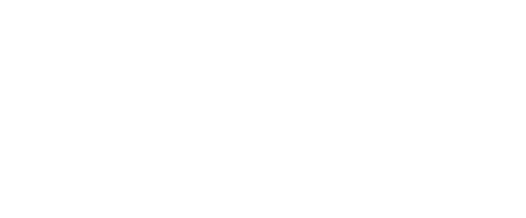 Velo81 logo
