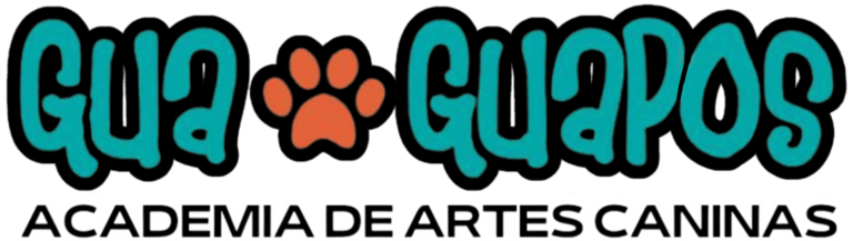 Academia Guaguapos logo