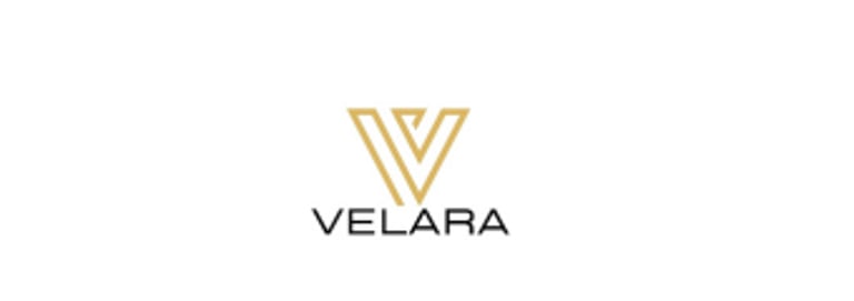 VivaVoz logo