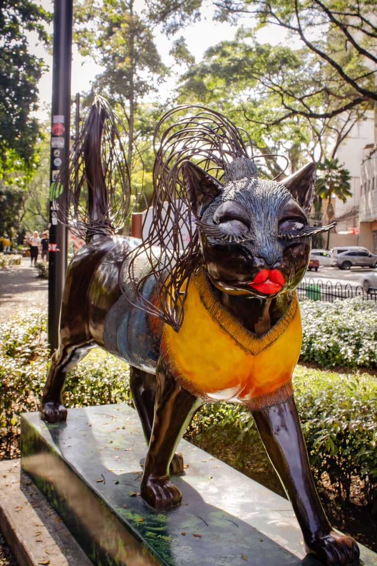 gata a la orilla del rio