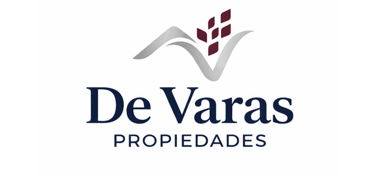 De Varas Propiedades logo