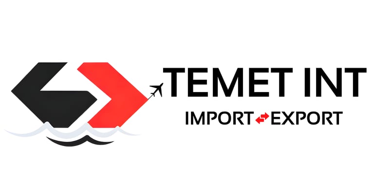 Temet.Int logo
