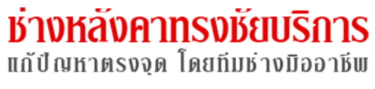 สเปซซินเนอร์จี logo