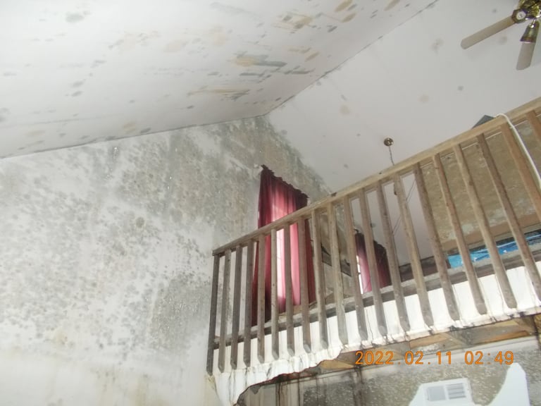 Mold Remediation