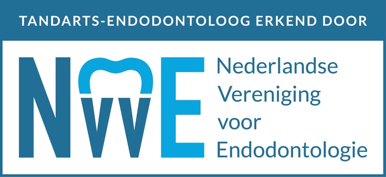 ZuiverEndo logo