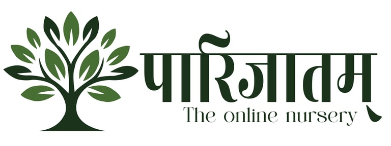 VṛkṣaAura logo