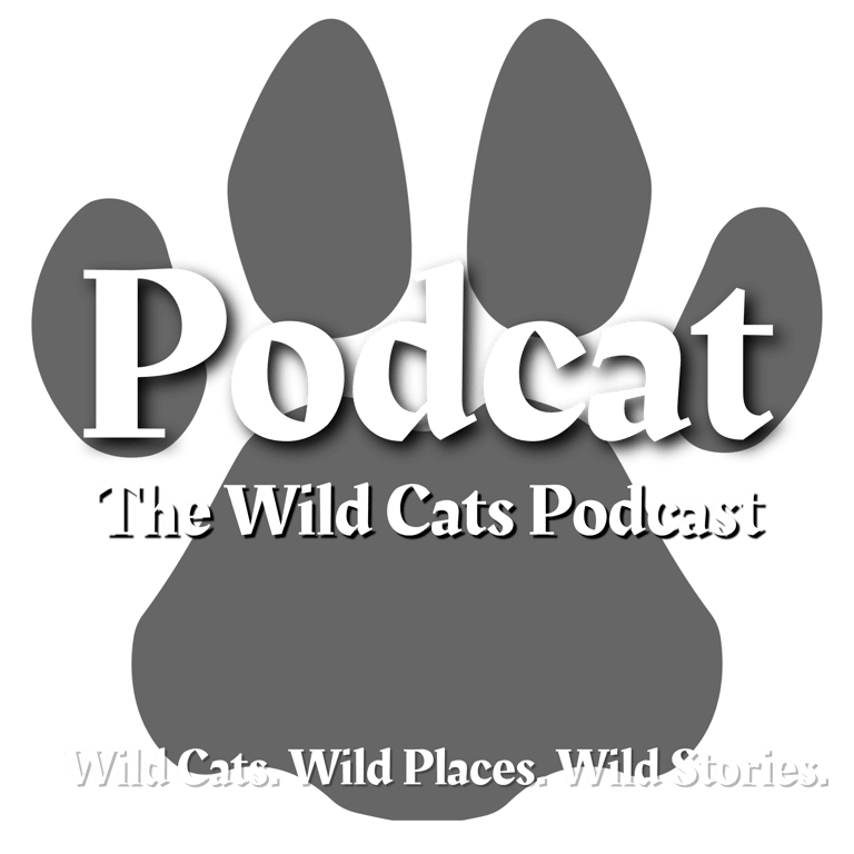 Podcat: The Wild Cats Podcast logo