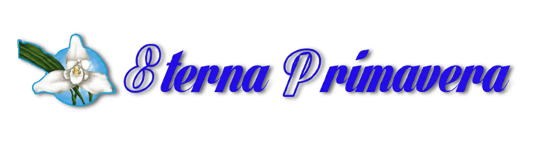 Restaurante Guatemalteco Eterna Primavera logo