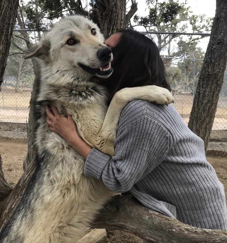 Crystal hugs wolfdog Quinn