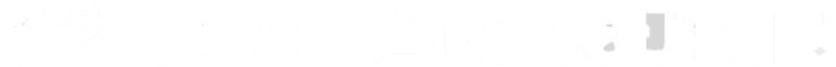 DriveLuma logo